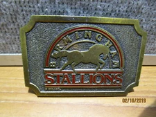 Vintage USFL Birmingham Stallions Belt Buckle