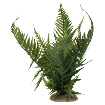 Terra Della Dekoration Farn Grn fr Terrarien Deko-Pflanze naturgetreu |  eBay.de