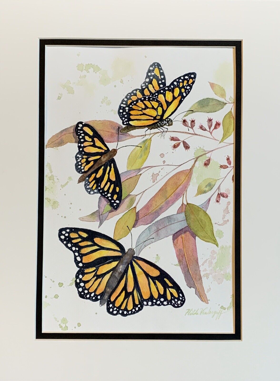 Watercolor Vintage Butterfly Variety Butterflies Plates -  Israel