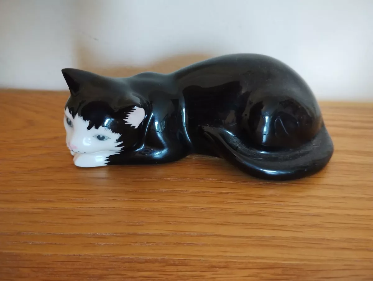 Just cats online