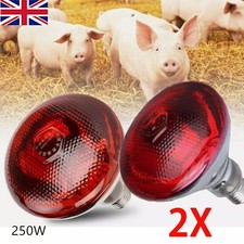 2PCS INFRA RED HEAT BULB LAMP RUBY 250W Poultry Chick Brooder Lambs Livestock