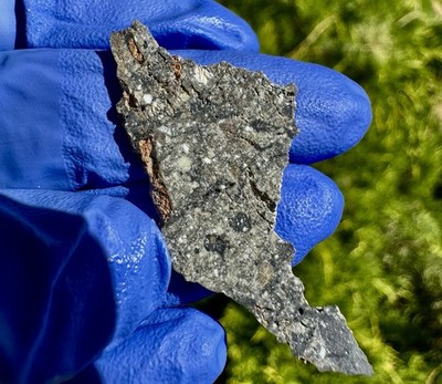 meteorite: Hassi Zerara 004  Weight 1.485 Grams