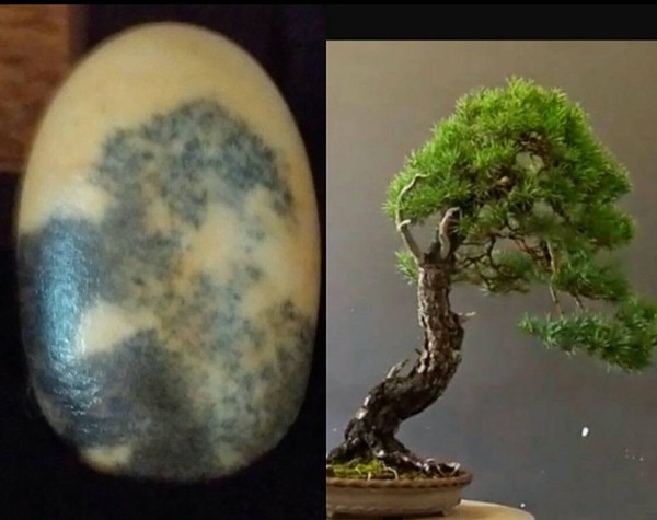 Suiseki Bonsai figure