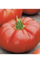   6 Different Heirloom Tomatos 25 seeds Of Each  Non-GMO Organic
