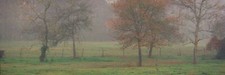 Images Of The Land ShelfScapes 1345 Foggy Morning 10" x 30" Backdrop