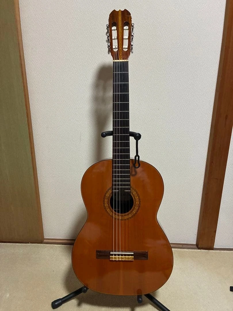 クラッシックギター　suzuki Suzuki Classical Guitars for sale | eBay