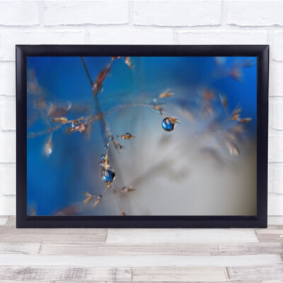 Makro Tropfen Wasser blau Bokeh verschwommener Himmel Pflanzen Wandkunstdruck