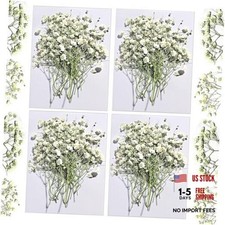 Dried Babys Breath White, 48pcs Dried Flowers for Resin Pressed from Natural