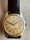 Vintage 1950s omega Seamaster 2828-5sc Tropical dial Automatic Men's Watch