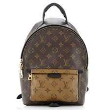 Louis Vuitton Palm Springs Backpack Reverse Monogram Canvas PM