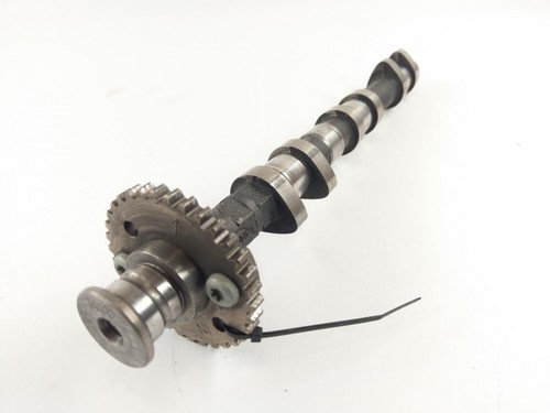 Triumph Speed Triple 955i T595N [2002] - Nockenwelle Aulassnockenwelle