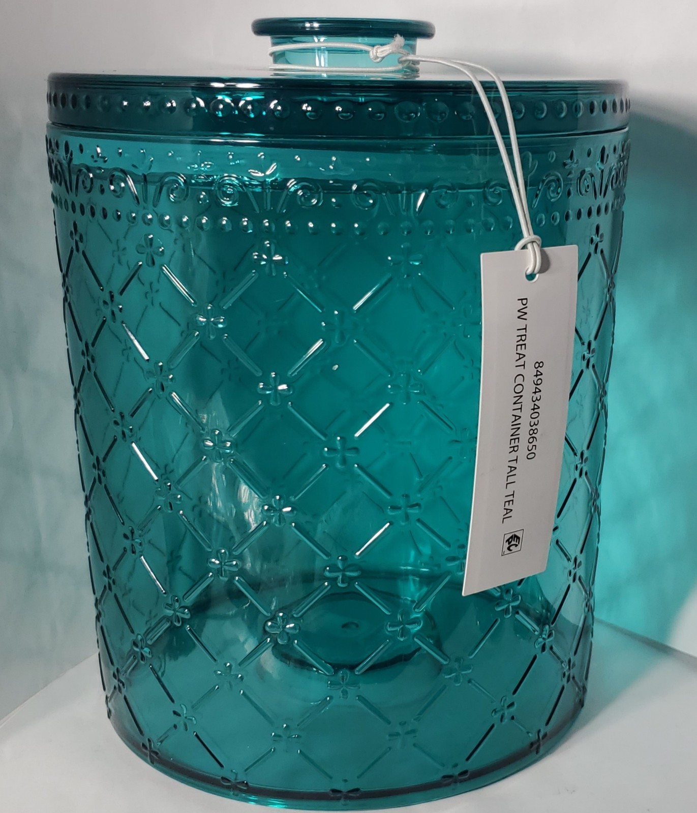 PIONEER WOMAN Beautiful Turquoise Plastic Treat Container NWT