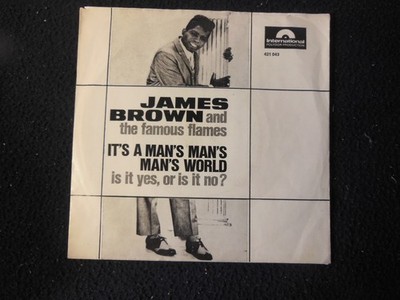 JAMES BROWN and the FAMOUS FLAMES - It´s A Man´s Man´s World , D 45