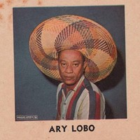 Ary Lobo - 1958 - 1966 - Vinyl Record - F600Z