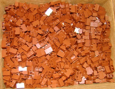 For Sale NEW Lot of 50 LEGO 1x2 Brown Bricks PIECES BULK For Sale NEW Lot of 50 LEGO 1x2 Brown Bricks PIECES BULK