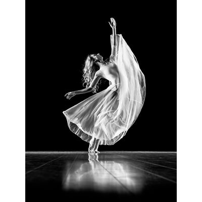 Hofmann Ballerina Tarchick Tanzendes Ballett Foto Wandbild Leinwanddruck 18 x 24 Zoll
