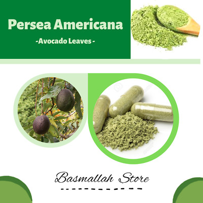 CAPSULES Avocado Leaves Butter Fruit Avocado Pear Alligator Pear Persea American