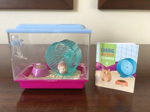 american girl doll class pet hamster