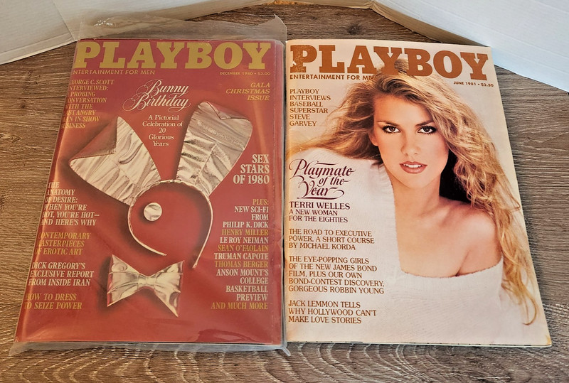 Vintage Playboy Magazines Lot Dec 1980 Terri Wells CF /Jun 1981 PM Of The Year