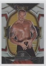 2023 Panini Select WWE Concourse Silver Prizm Diamond Dallas Page #9 HOF 17tq