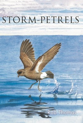 Die Sturmsturmvögel von Thomas, Rob [Taschenbuch]