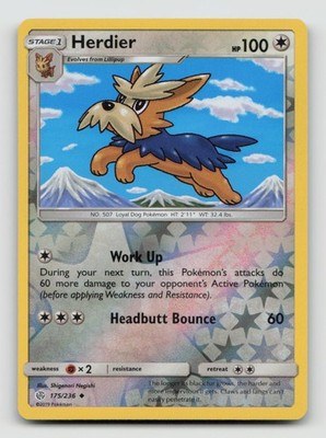 HERDIER 175/236 Uncommon Reverse Holo Pokemon COSMIC ECLIPSE
