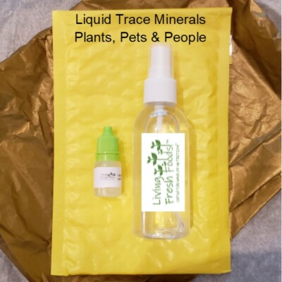 Liquid Sea Minerals for People, Plants and Pets