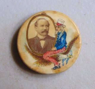 Alton Parker 1904 campaign pin button political