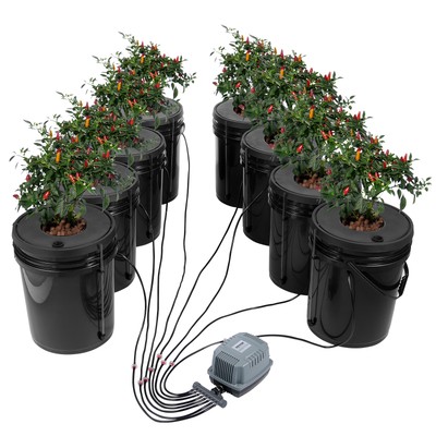 Hydroponics Deep Water Culture DWC Hydroponic System 5 Gallon 8 Buckets