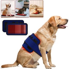 Pet Red Light Therapy Medical Health Belt Skin Irritations Arthritis Pain Relief