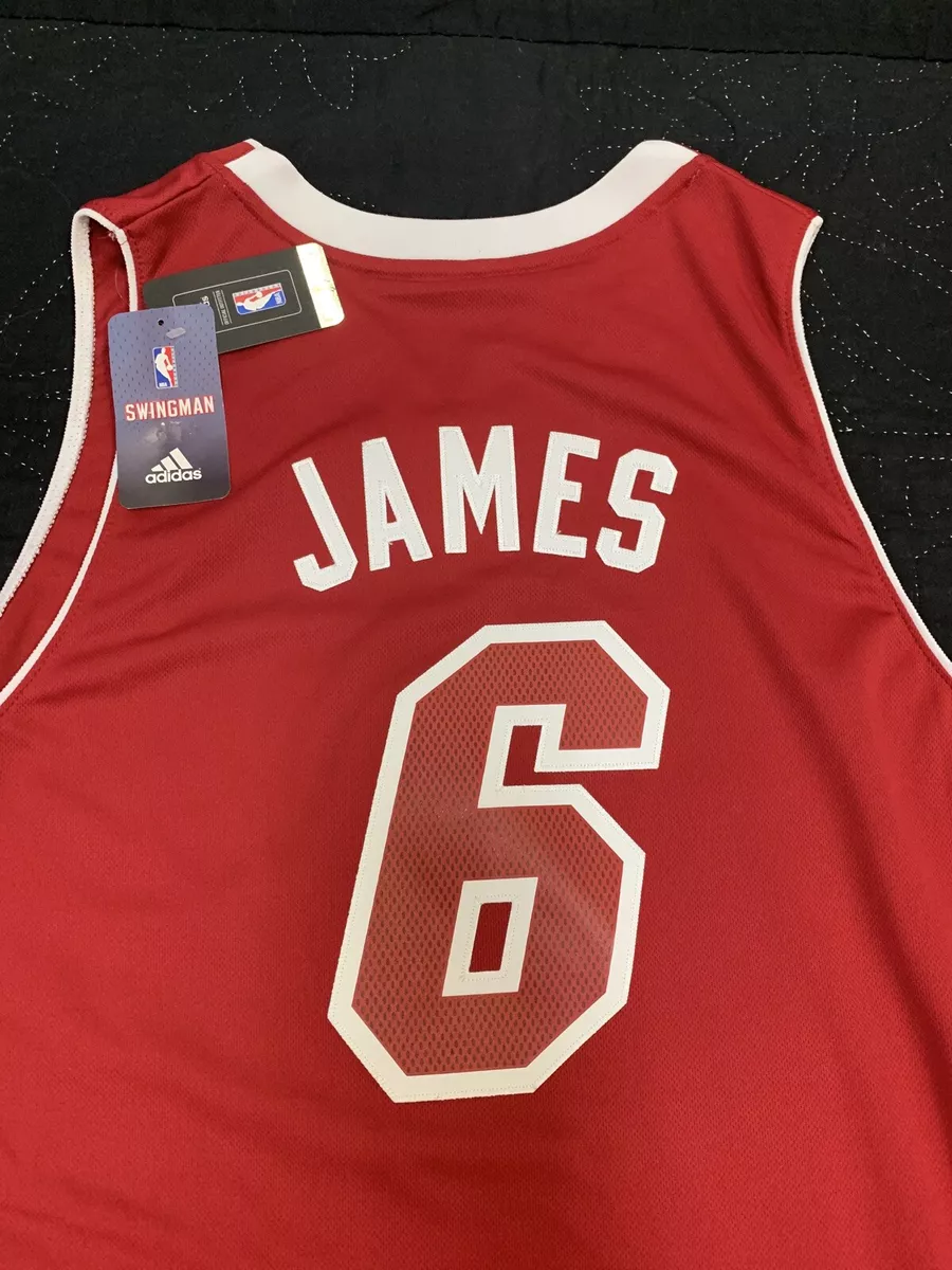 LeBron James Signed Miami Heat Swingman Nickname Jersey at