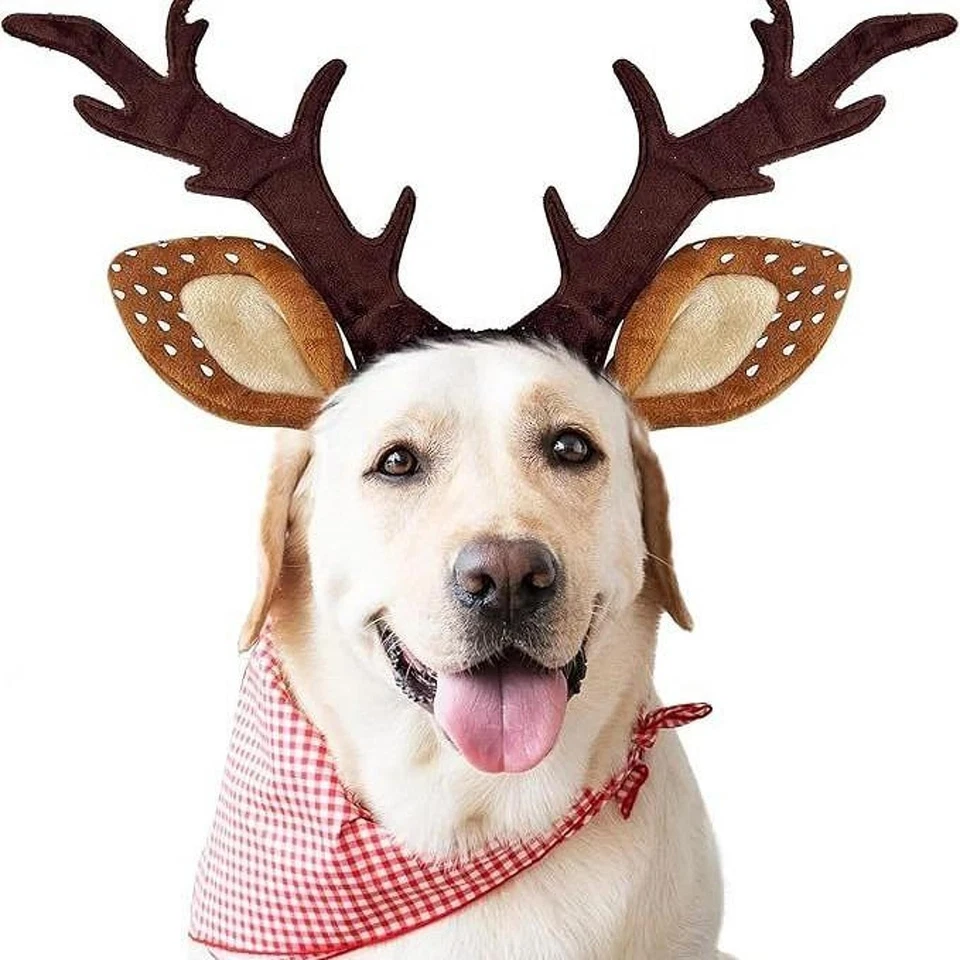 Bandeau décoratif en bois de renne et élan pour chien, idéal pour les fêtes - Photo 4/4
