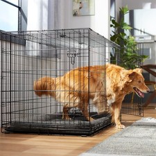 Frisco Fold  Carry Double Door Collapsible Wire Dog Crate, X-Large