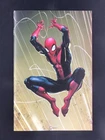 Amazing Spider-Man #20 Clayton Crain Virgin 1:50 Variant Cover NM