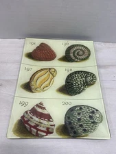 John Derian Co. Signed Decoupage Glass Shell Plate 10.5 X 8