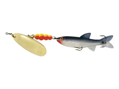 Mepps Comet Mino Inline Spinner 4'' with Shad Mino Gold Blade 1/2 oz