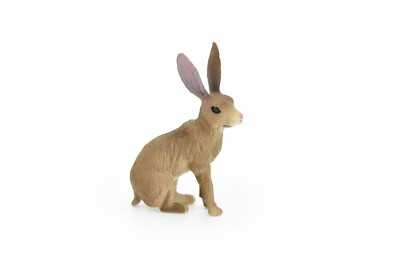 Jackrabbit, Rabbit, Hare, Figure, Realistic Rubber Model, Hand