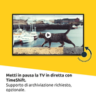 Foto 7 di 12