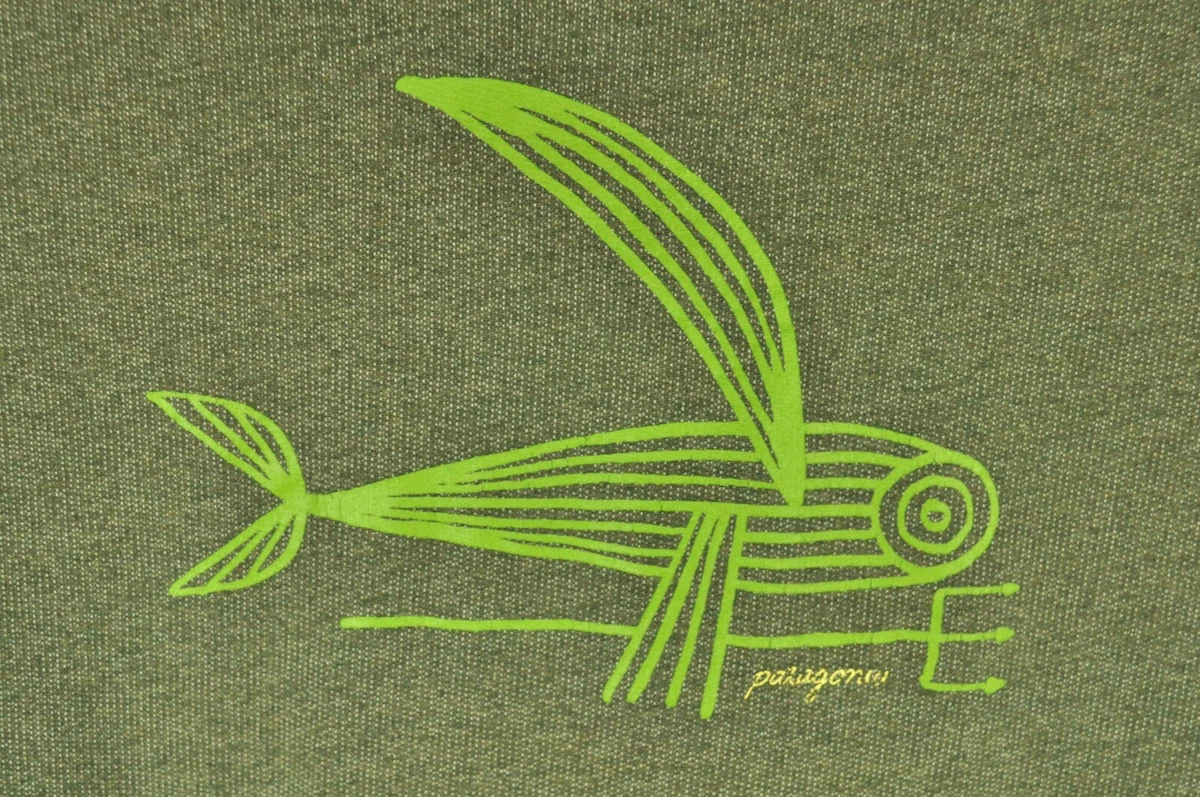 Patagonia flying shop fish hoodie