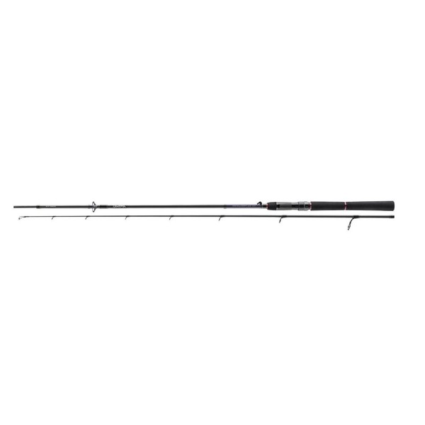 Daiwa Tournament SW AGS 2,10M 14-42G High End Spinnrute Salzwasser-image