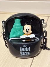 Tokyo Disneyland Haunted Mansion Snack Case Souvenir Halloween Japan TDR