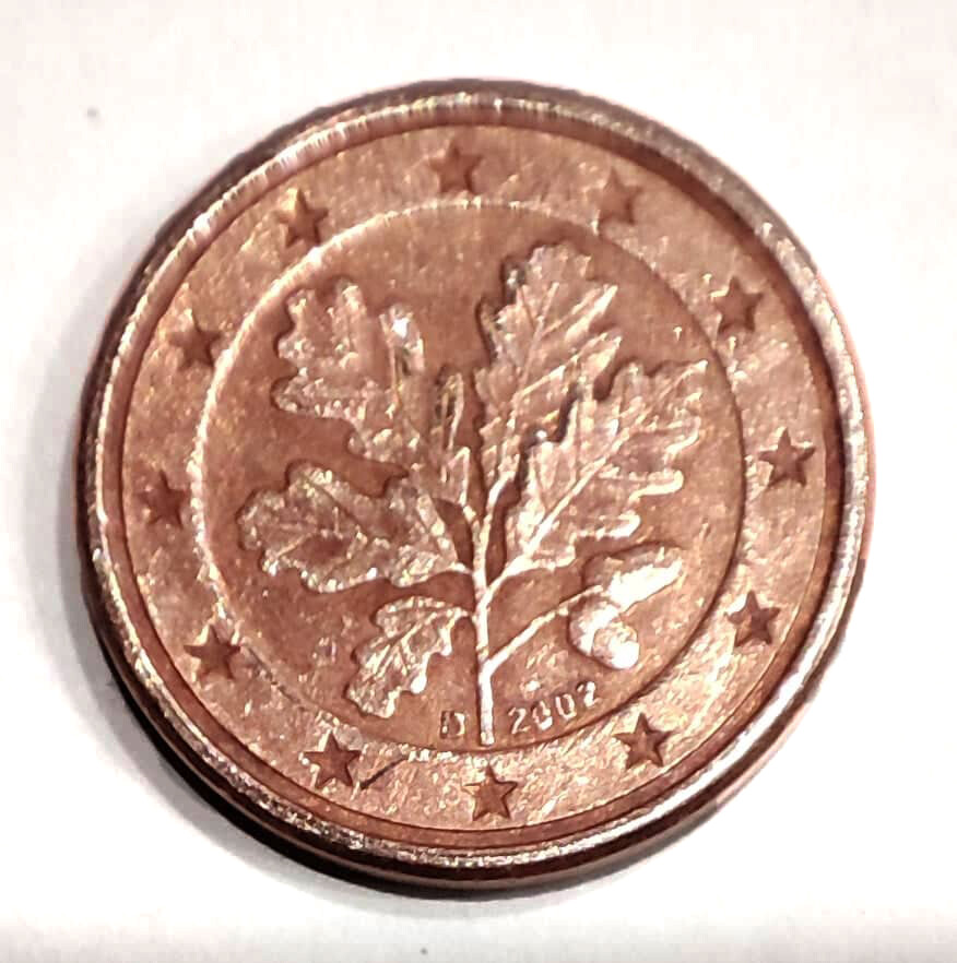 Semi Di Erba Per Gatti BIO - Il Condomicio - Shop - Foto 2