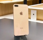 Foto 10 di 11