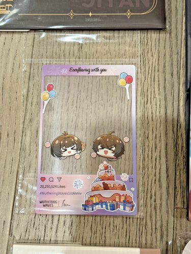 Wuthering Waves 1st Anniversary 2025 Los Angeles Event Merchandise Set+Sunright - 第 2/19 張圖片
