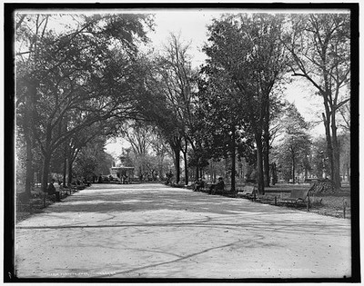 Photo:Forsyth Park Savannah Georgia Tree-Lined Walk c1901