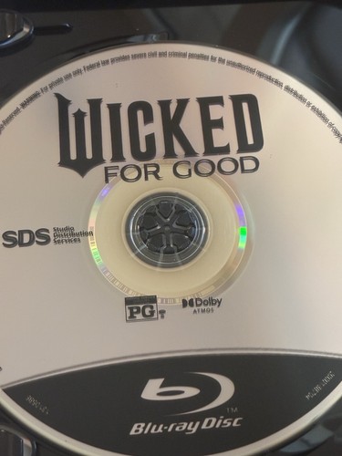 Wicked For Good Bluray.  Disc Only.  Read Description