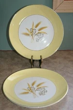 Century Service Corp - AUTUMN GOLD - 10" Dinner Plates (2)