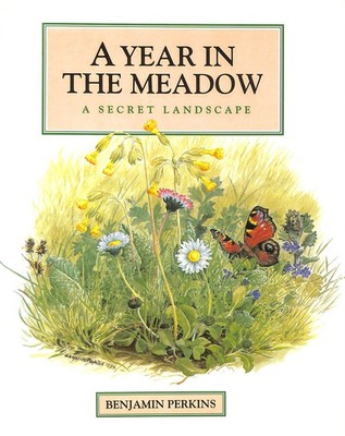 A Year in the Meadow: The Secret Landscape by Benjamin Perkins; Benjamin Perkins
