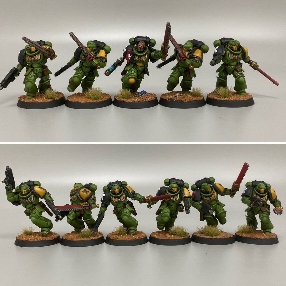 MANTIS WARRIORS PRIMARIS SPACE MARINE ARMY PAINTED WARHAMMER 40K