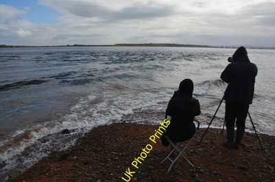 Photo A3 Fortrose : Chanonry Point Fort George Although there might be v c2016